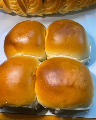 tortuga